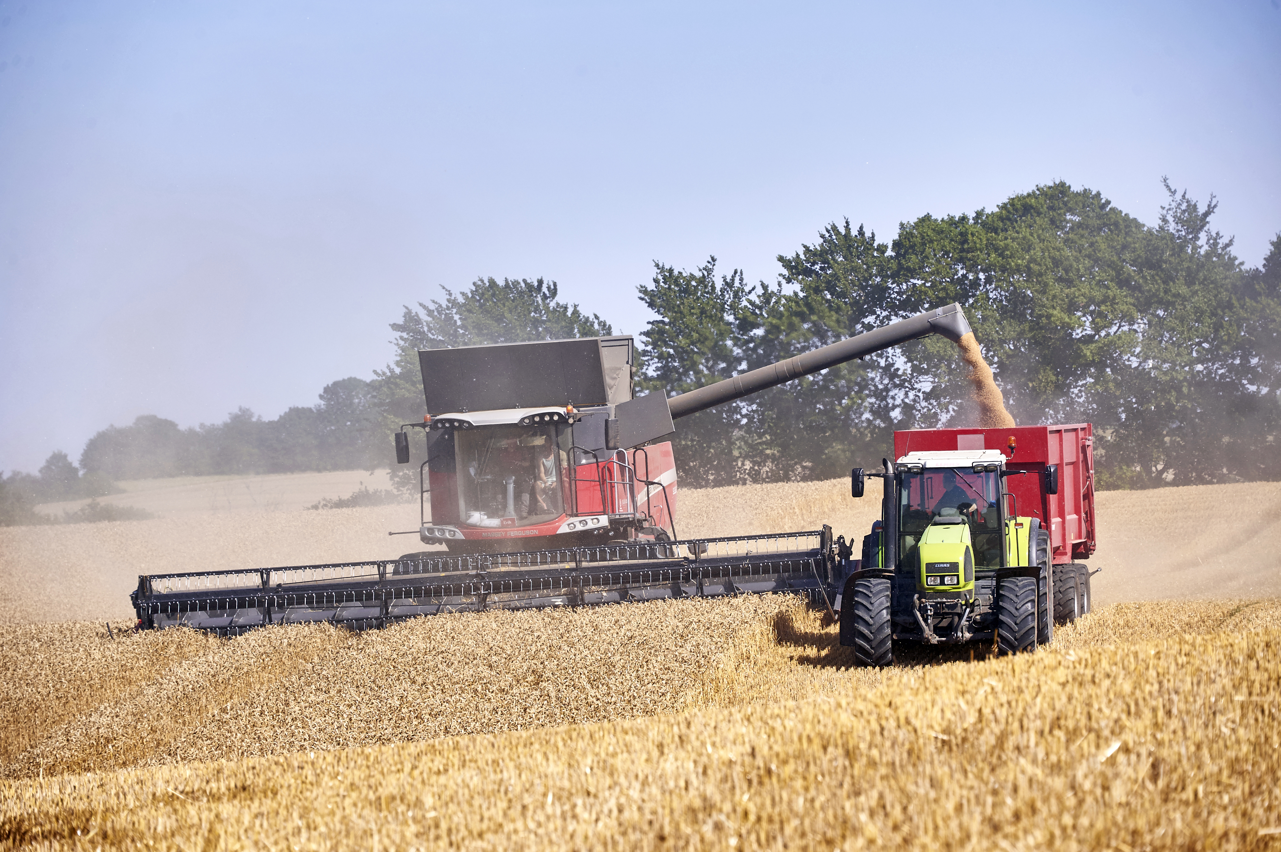 Harvest_3