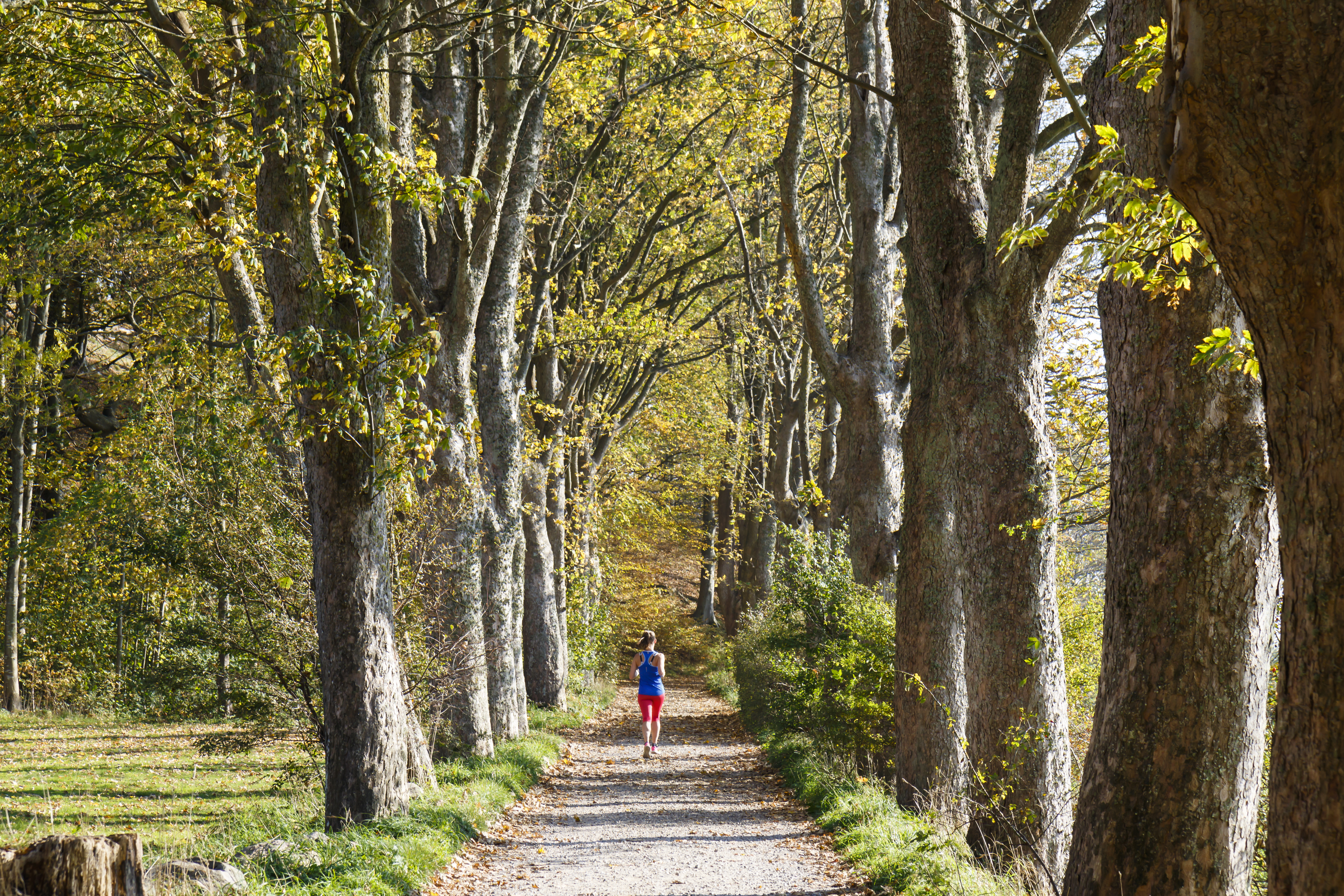 Autumn_6