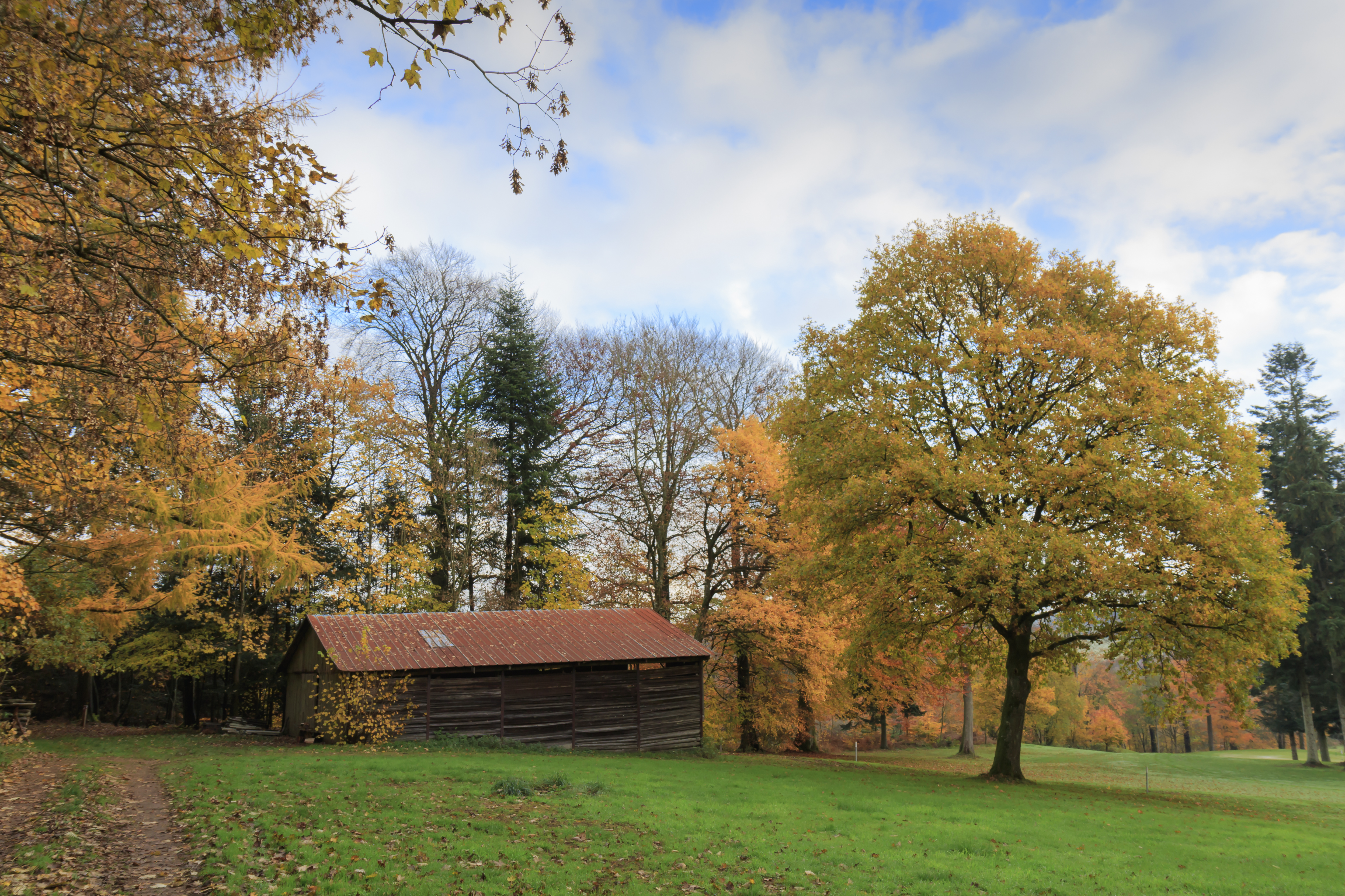 Autumn_2