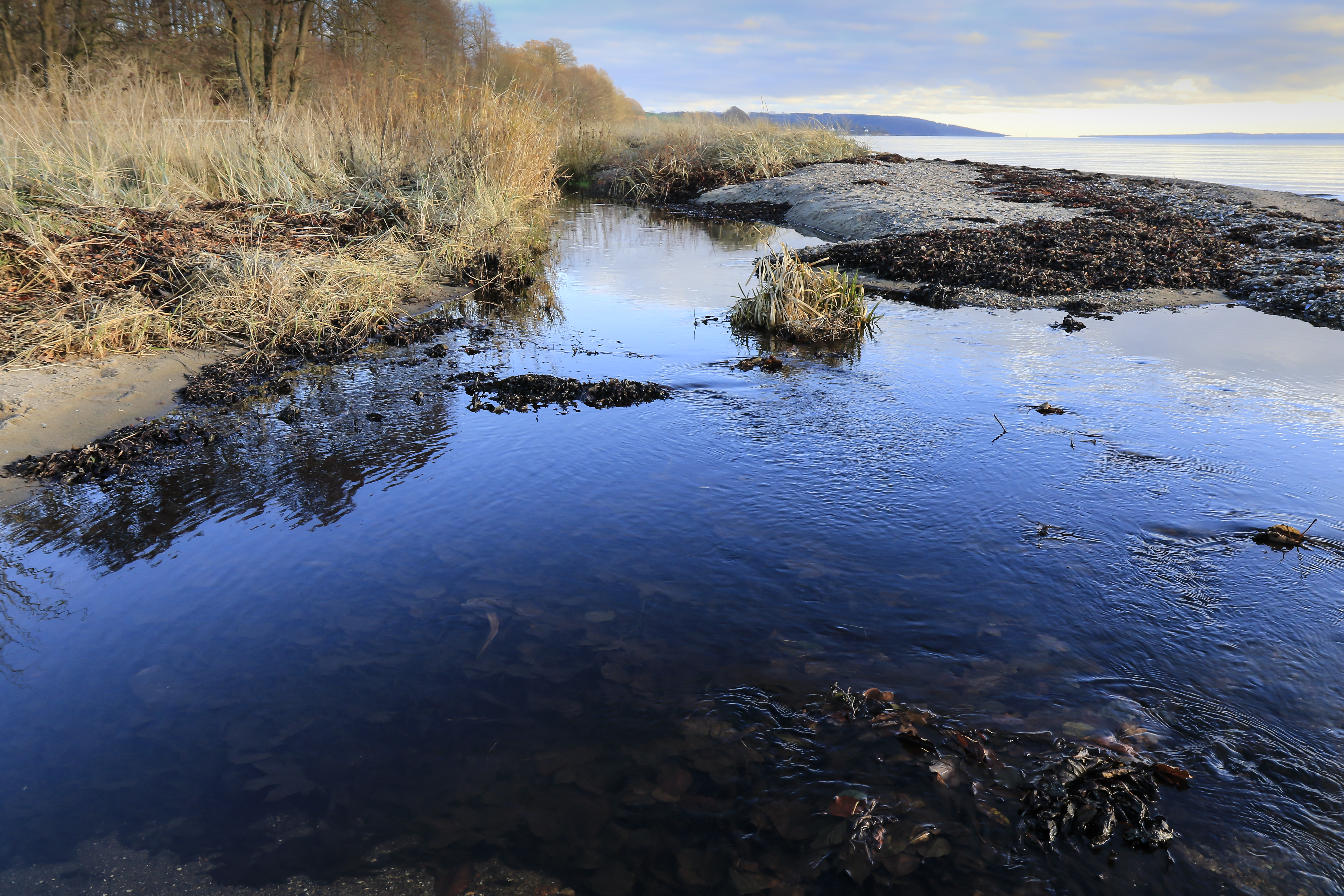 Blue water by the fjord