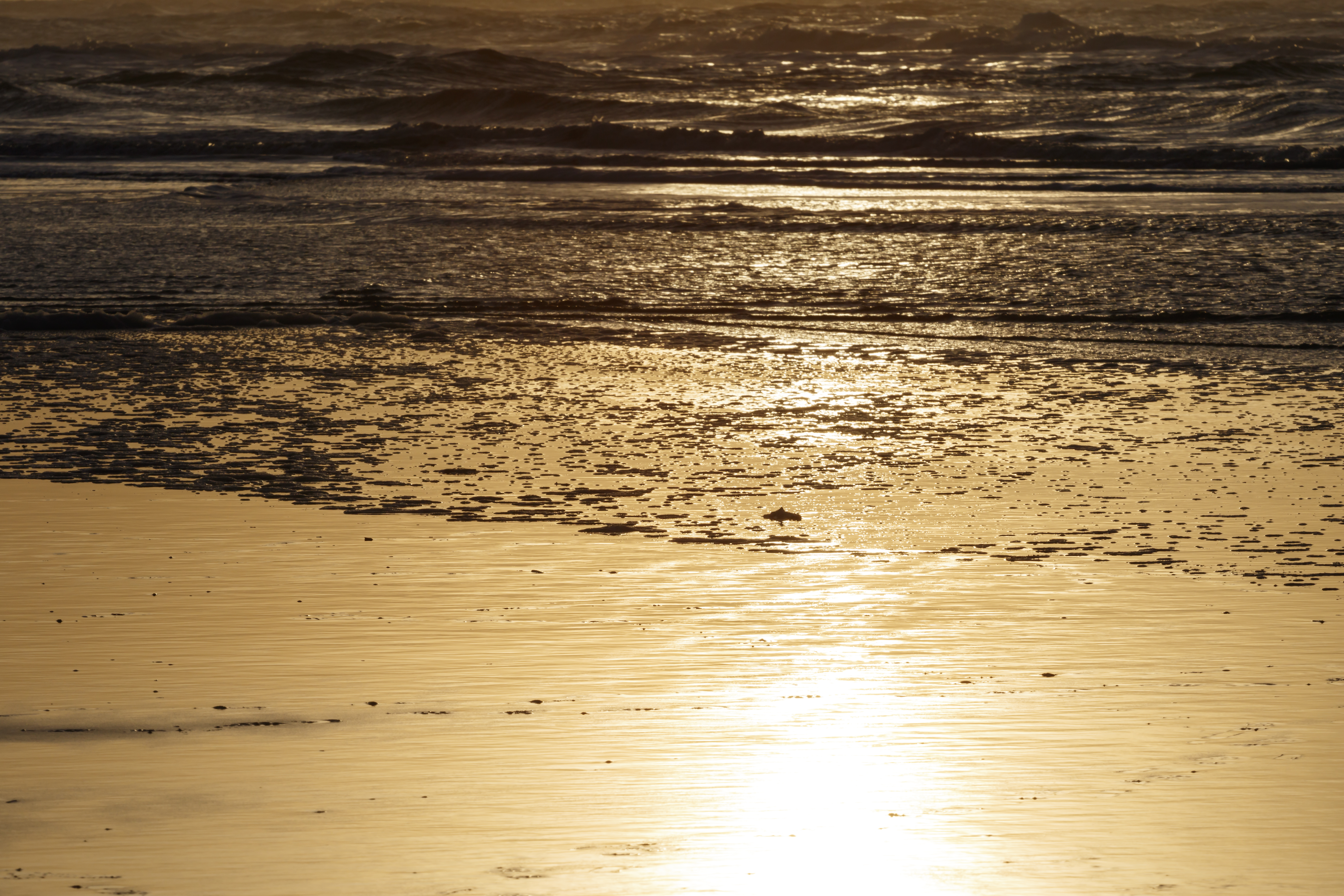 Sunset by the beach