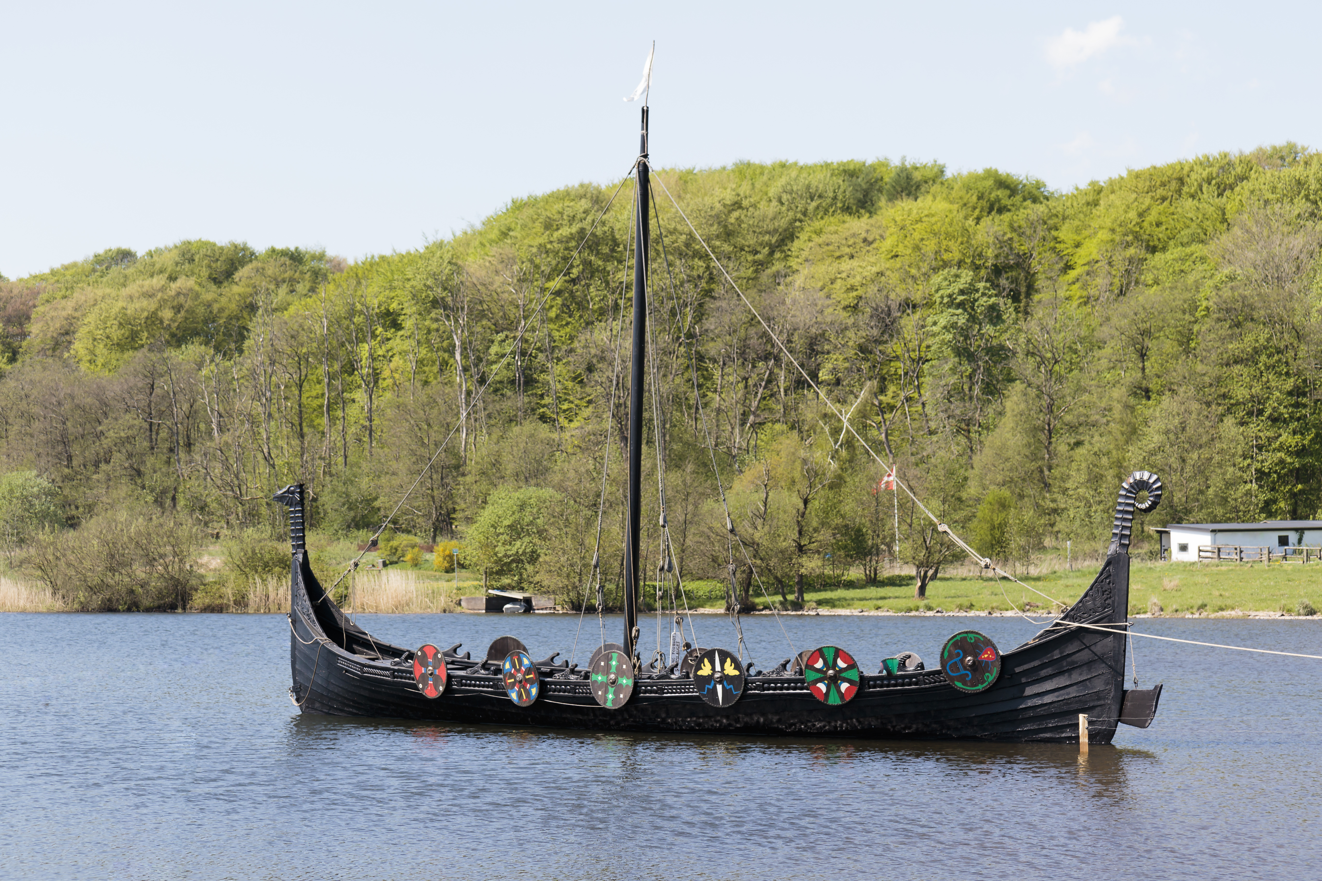 Viking Ship