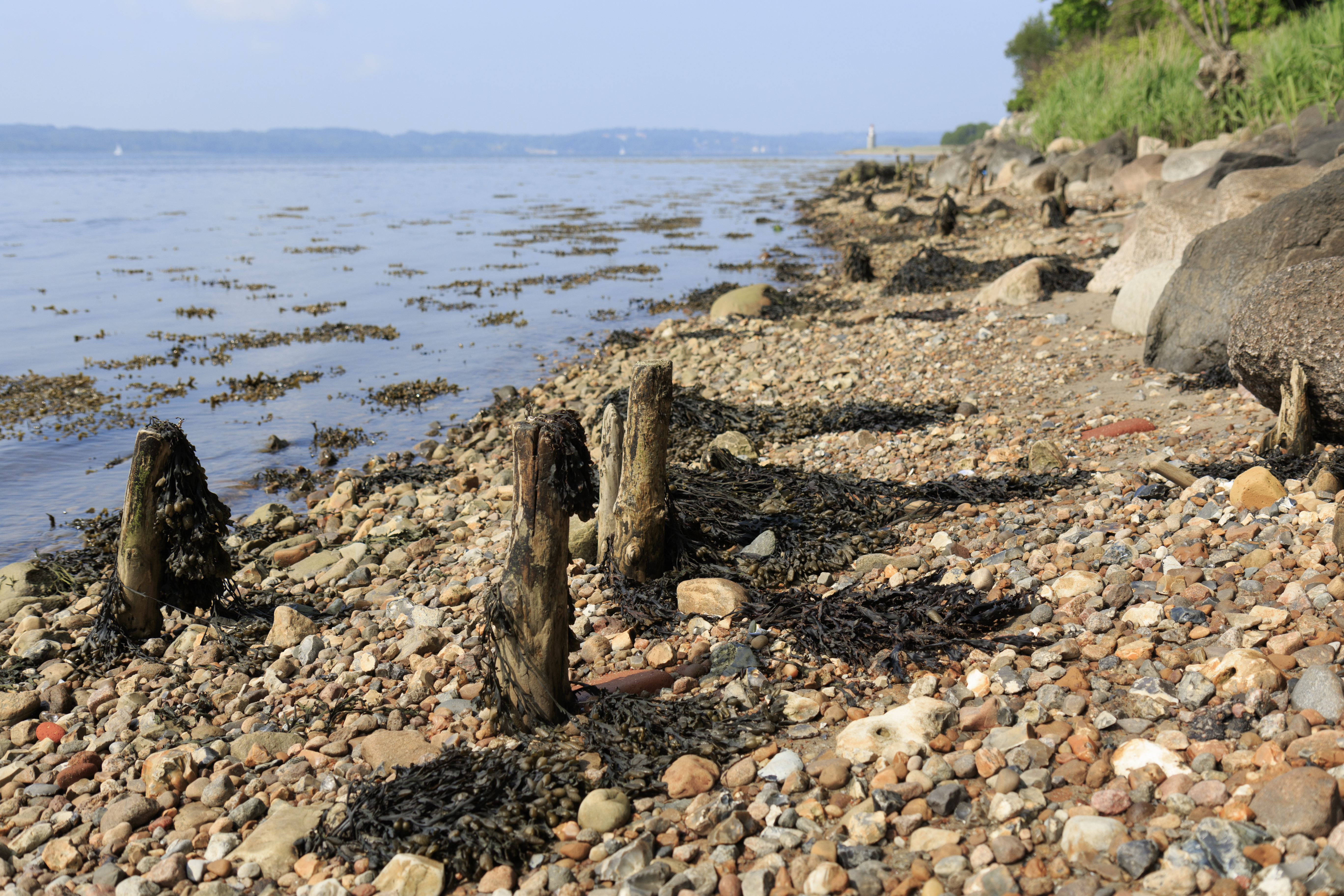 Beach with pebbles
